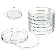 Placa Petri plastica 60mm, esteril, bolsa de 10 unidades